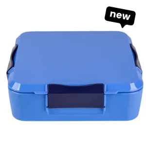 Little Lunch Box - קופסת בנטו מחולקת 3+ תאים - Blueberry