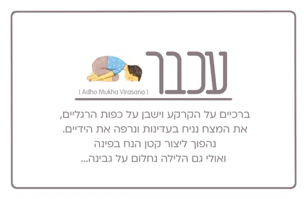 קלפי יוגי